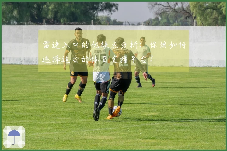 雷速入口的优缺点分析：你该如何选择适合的体育直播平台？