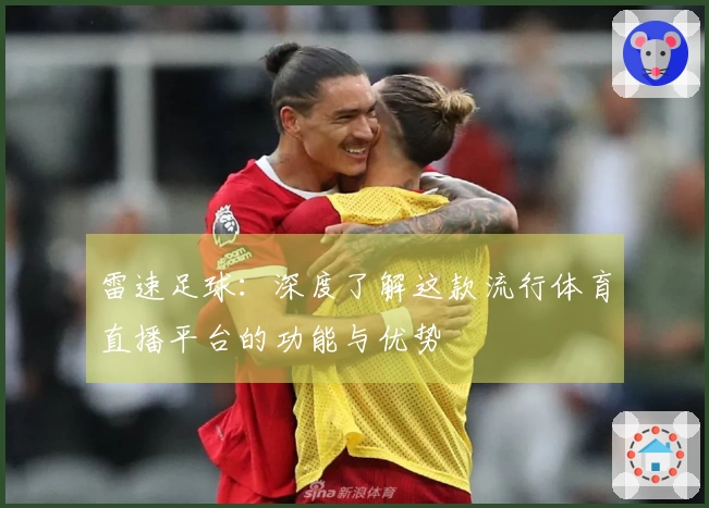 雷速足球：深度了解这款流行体育直播平台的功能与优势